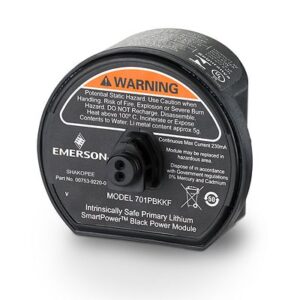 Emerson 701PBKKF Power Module